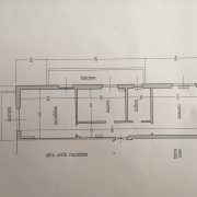 433-piantina