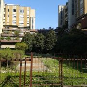 20170403_102815